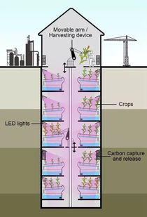 LED照明系统助力垂直农场发展